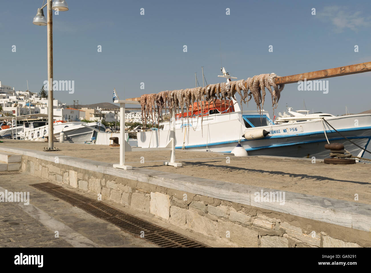 Paros, Grecia, 15 agosto 2015. Il polpo fuori nel sole per asciugare contro il mare e una barca da pesca. Foto Stock