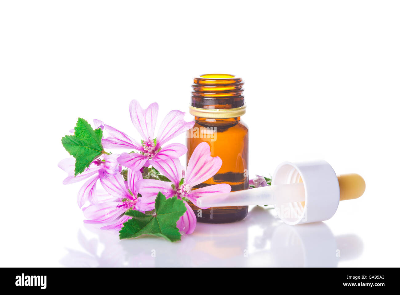 Flacone contagocce con malva malva estratto o olio essenziale isolato su uno sfondo bianco Foto Stock