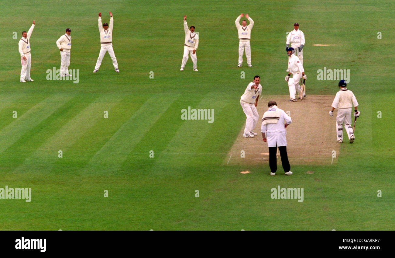 Cricket - Frizzell County Championship - Yorkshire v Surrey Foto Stock