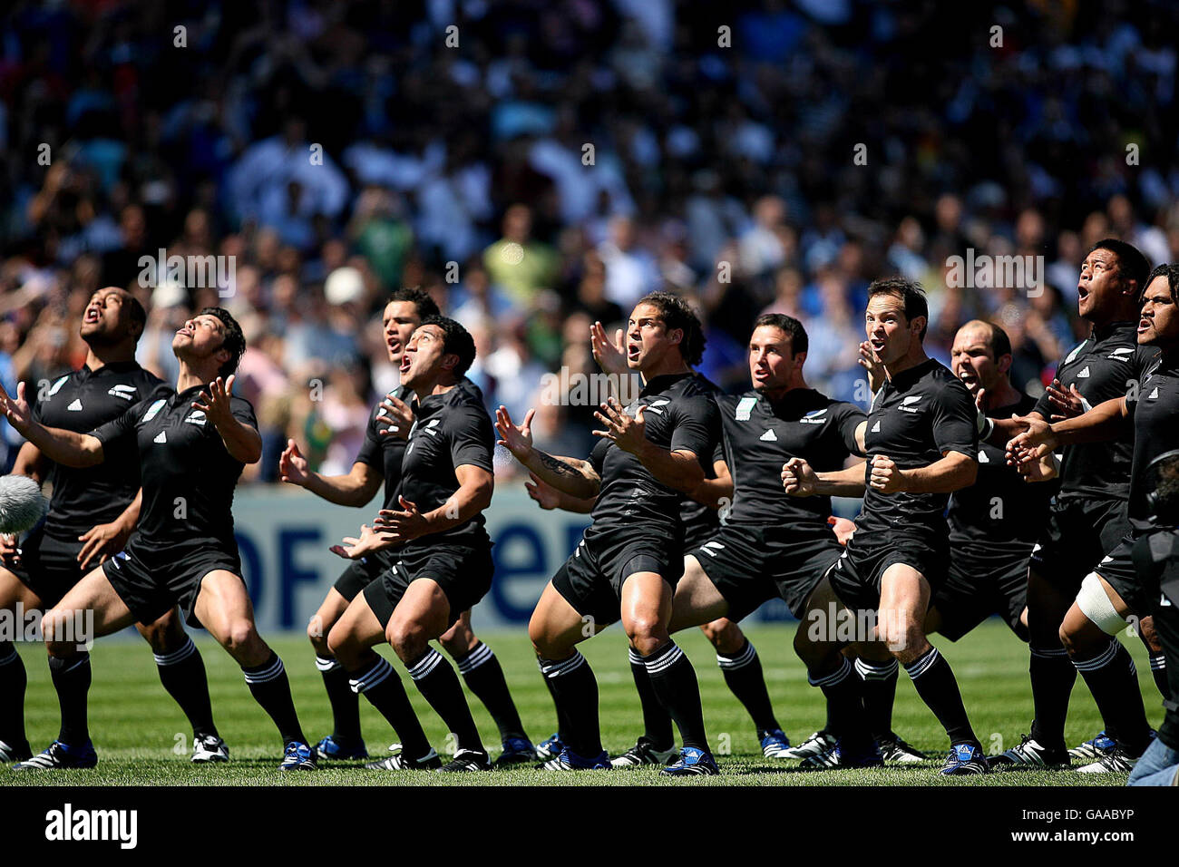 La Nuova Zelanda esegue la danza tradizionale Haka prima della partita  della Coppa del mondo di rugby IRB allo Stade Velodrome, Marsiglia, Francia  Foto stock - Alamy