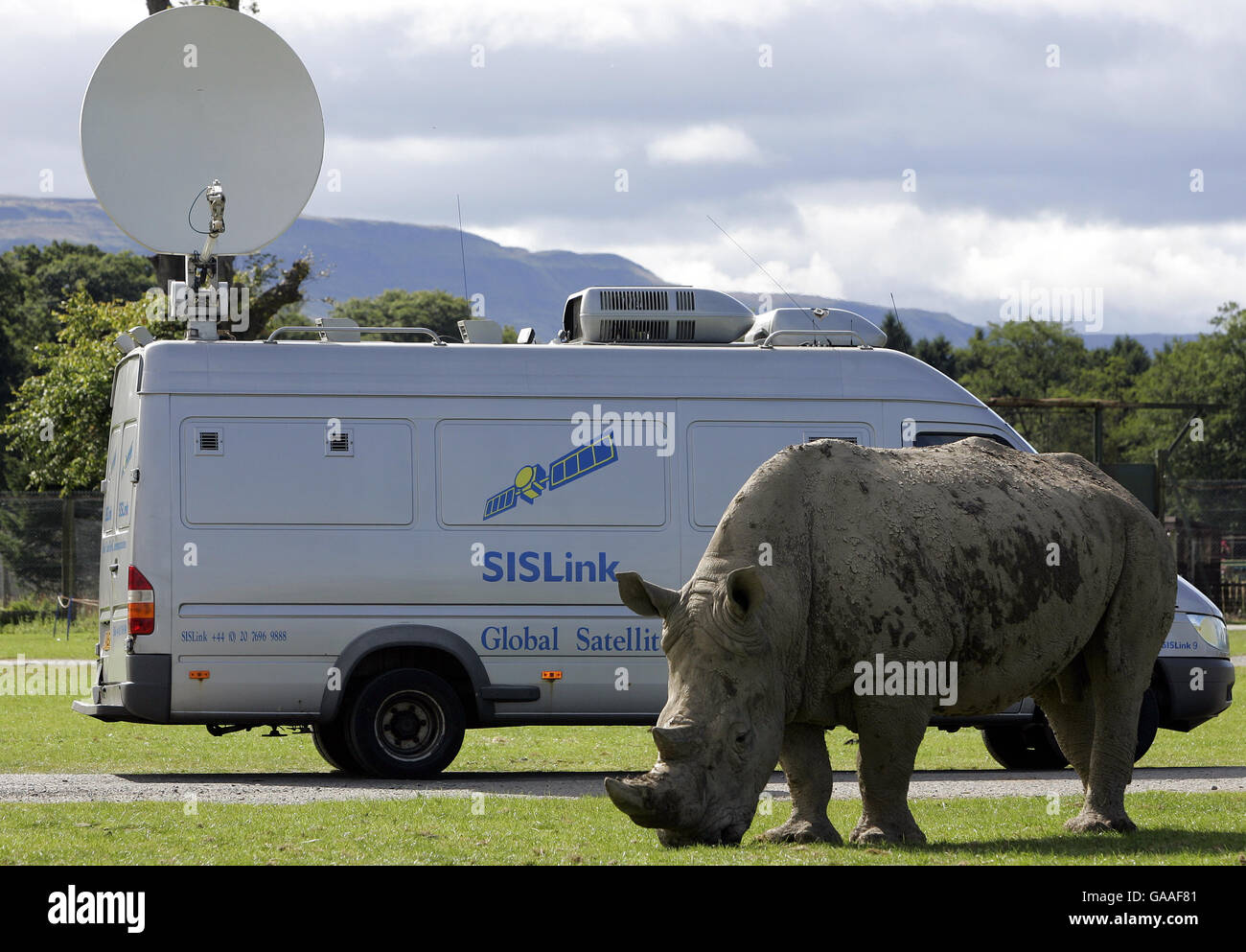 Un camion satellite SIS mentre sul posto filmare una settimana vecchia Mazumba il Rhino Bianco Africano del bambino dopo che ha fatto il suo debutto pubblico insieme a madre Dorothy nel loro nuovo recinto al Blair Drummond Safari Park vicino Stirling. Il Rhino bianco è il primo nato nel parco . Foto Stock