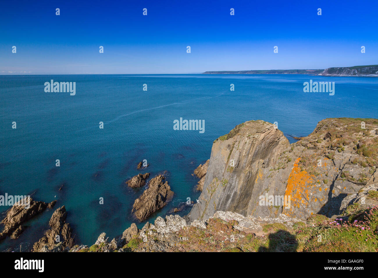 Le scogliere di ardesia del lato sud del Burgh Island, South Devon, Inghilterra, Regno Unito Foto Stock