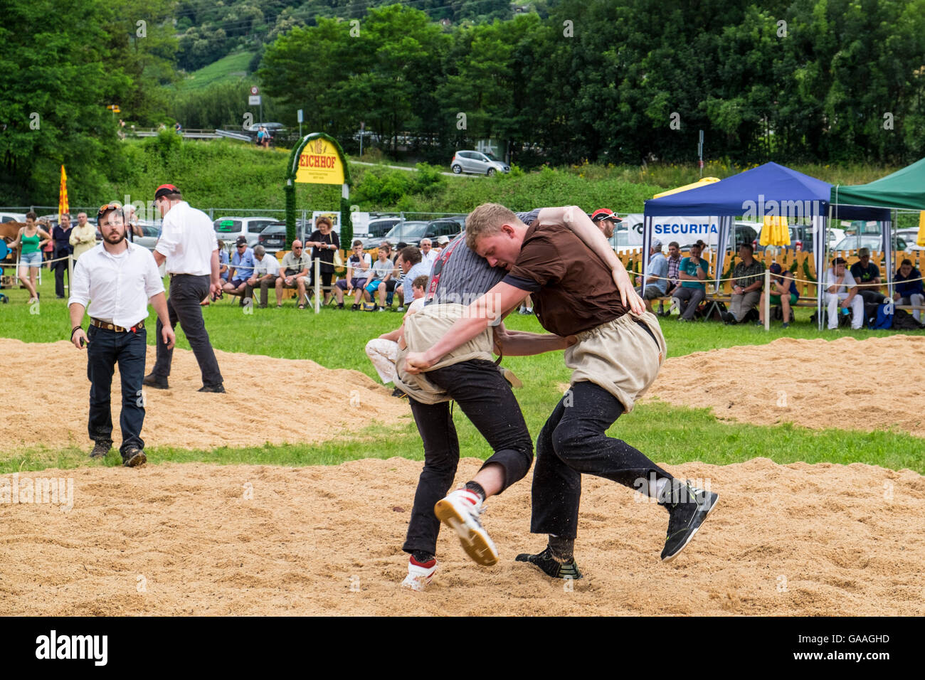 Svizzera Canton Ticino, Gudo, Swiss wrestling Foto Stock