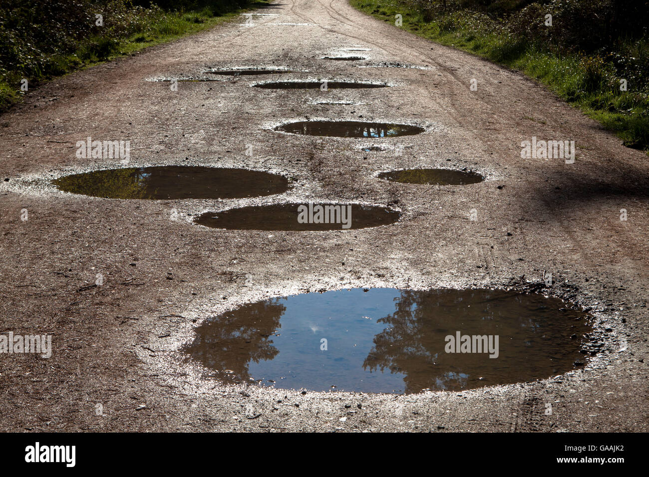 Germania, Troisdorf, Renania settentrionale-Vestfalia, pozze su un percorso nel Wahner Heath. Foto Stock