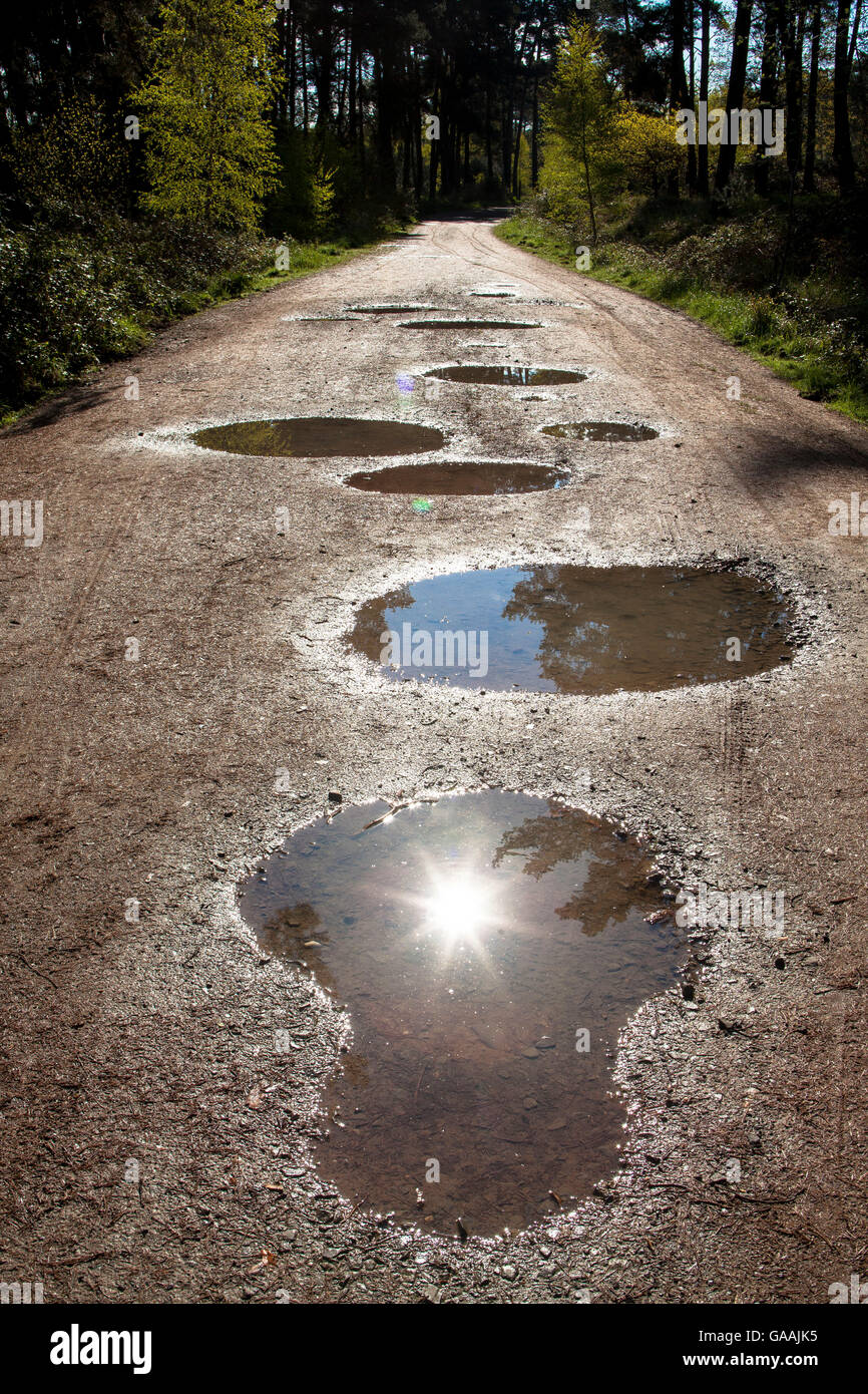 Germania, Troisdorf, Renania settentrionale-Vestfalia, pozze su un percorso nel Wahner Heath. Foto Stock