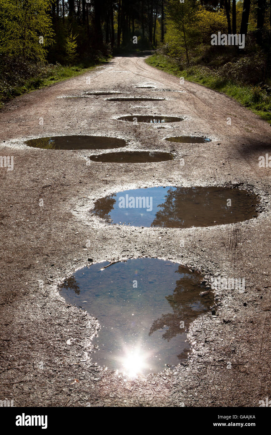 Germania, Troisdorf, Renania settentrionale-Vestfalia, pozze su un percorso nel Wahner Heath. Foto Stock