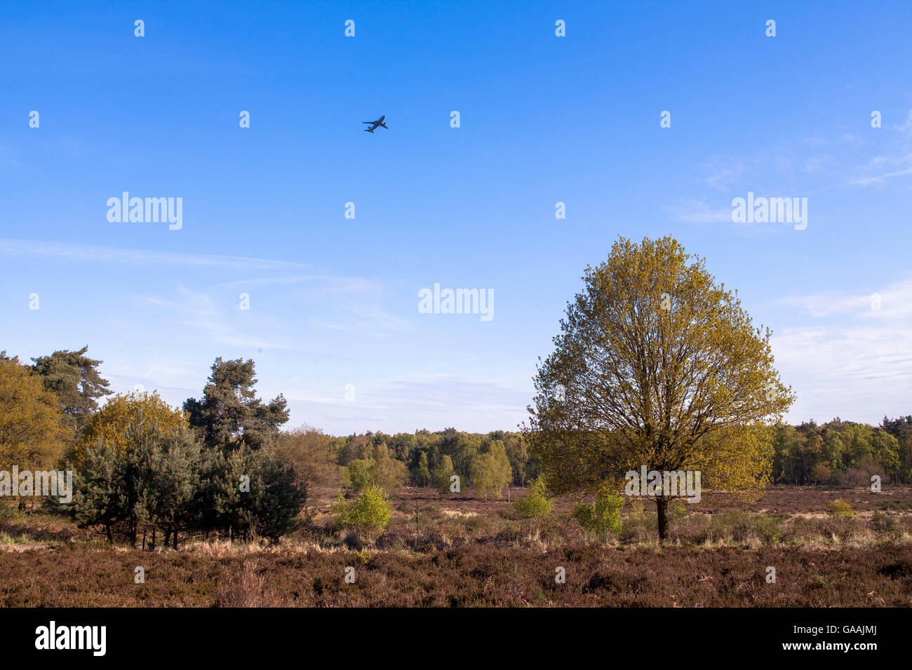 Germania, Troisdorf, Renania settentrionale-Vestfalia, aereo decollo dal vicino aeroporto Troisdorf Bonn al di sopra del Wahner Heath. Foto Stock