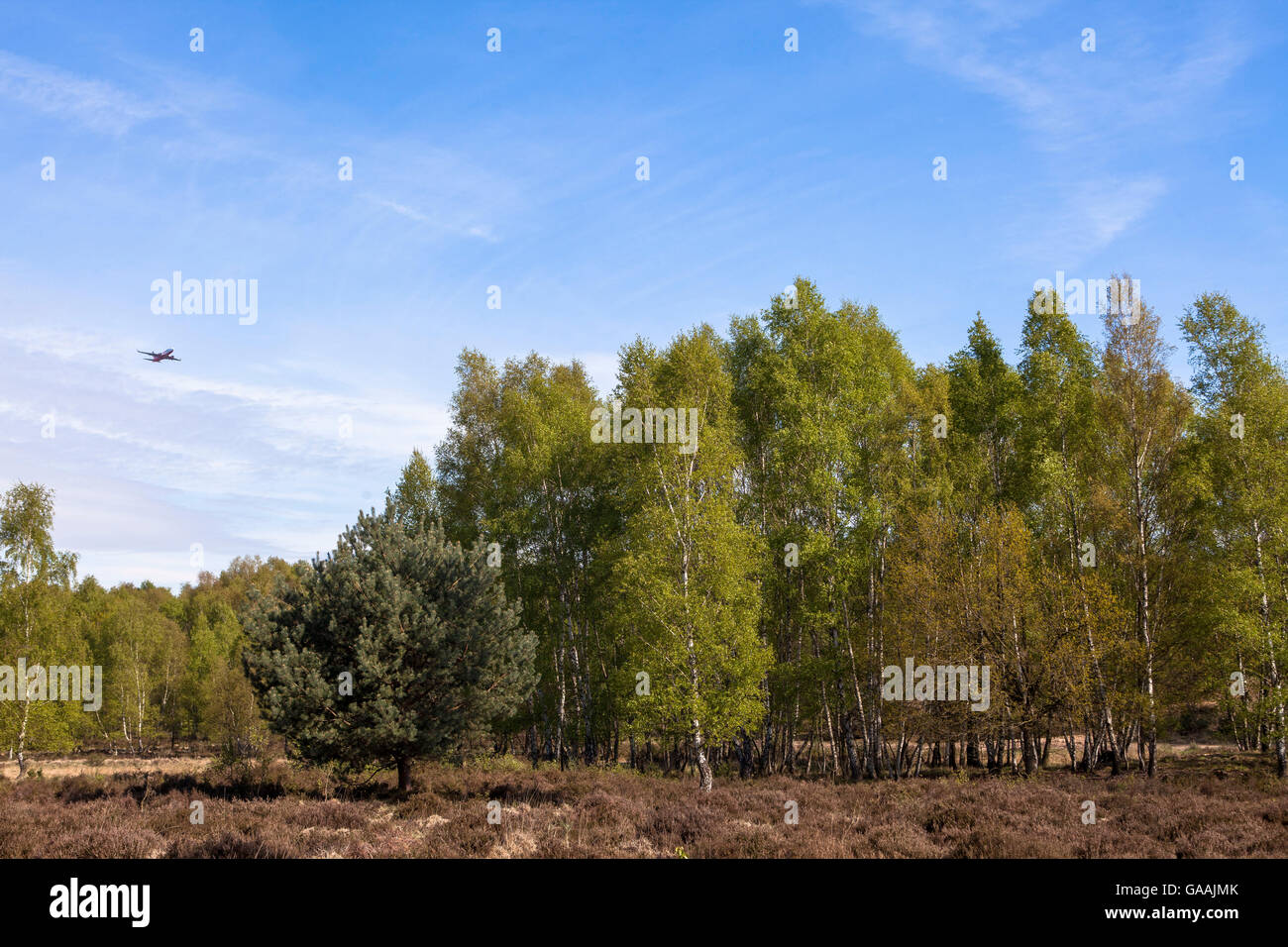 Germania, Troisdorf, Renania settentrionale-Vestfalia, aereo decollo dal vicino aeroporto Troisdorf Bonn al di sopra del Wahner Heath. Foto Stock