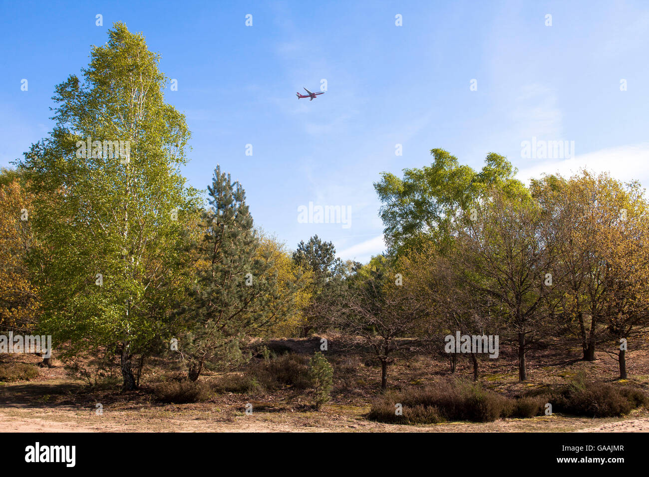 Germania, Troisdorf, Renania settentrionale-Vestfalia, aereo decollo dal vicino aeroporto Troisdorf Bonn al di sopra del Wahner Heath. Foto Stock