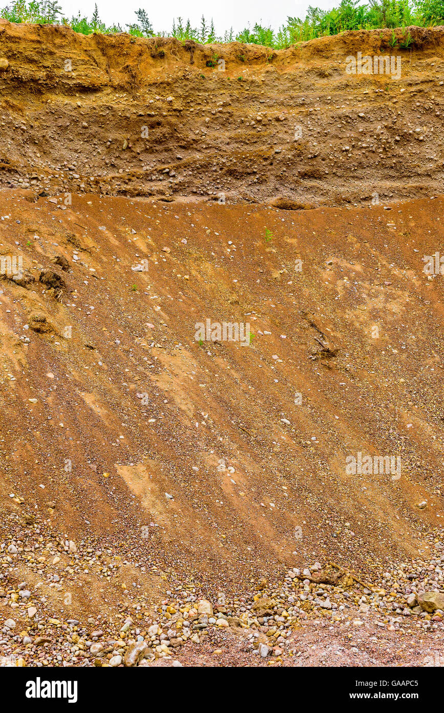 Parete di erosione del suolo in una cava di ghiaia o di cava in natura. Il suolo è leggermente umido dopo una breve pioggia. Foto Stock