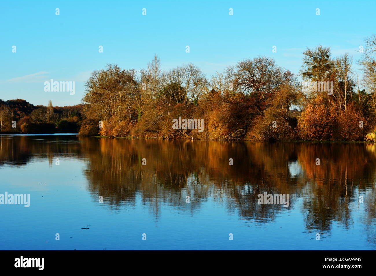 Paesaggio autunnale con alberi sul lago o fiume Foto Stock