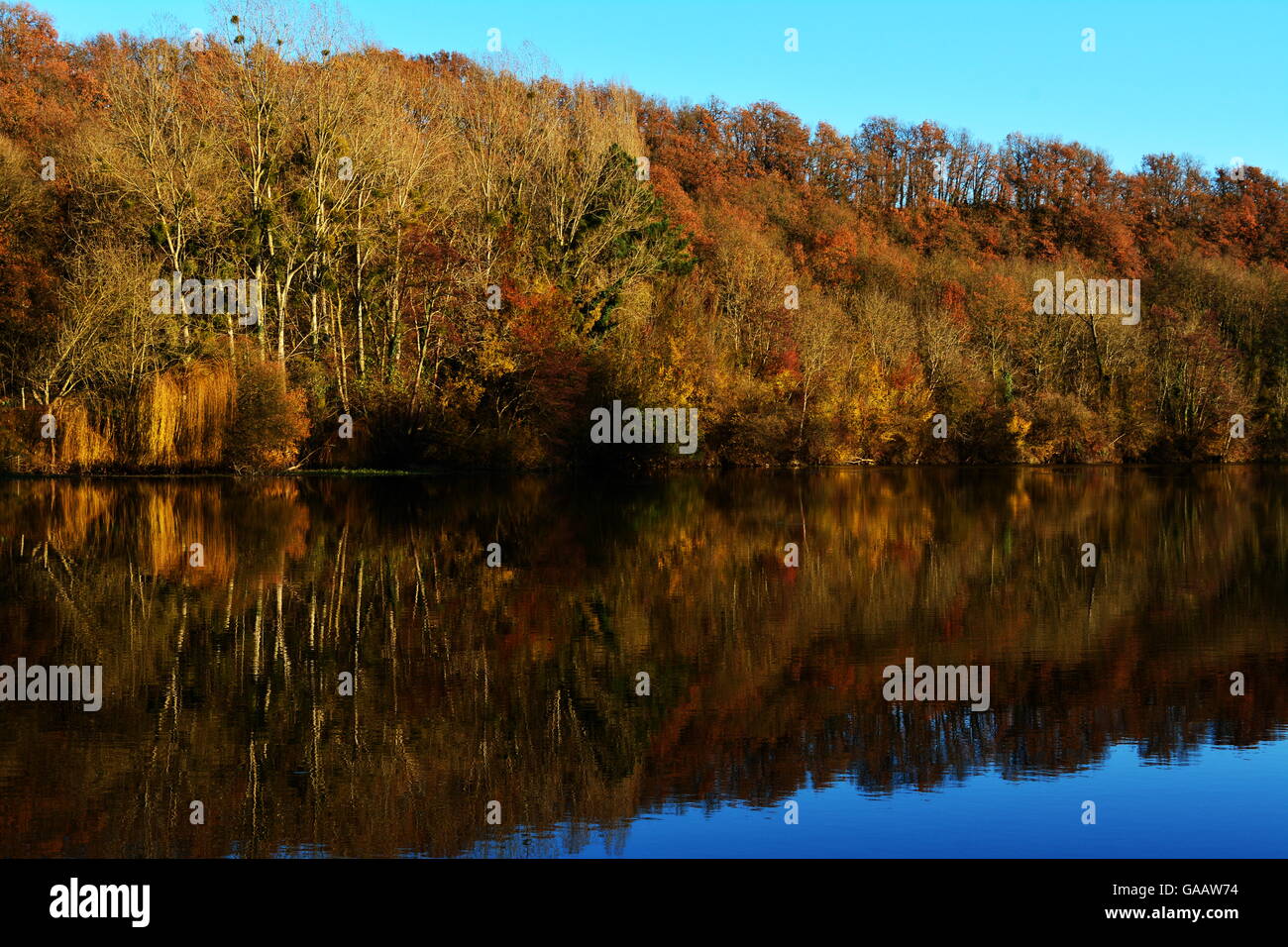 Paesaggio autunnale con alberi sul lago o fiume Foto Stock