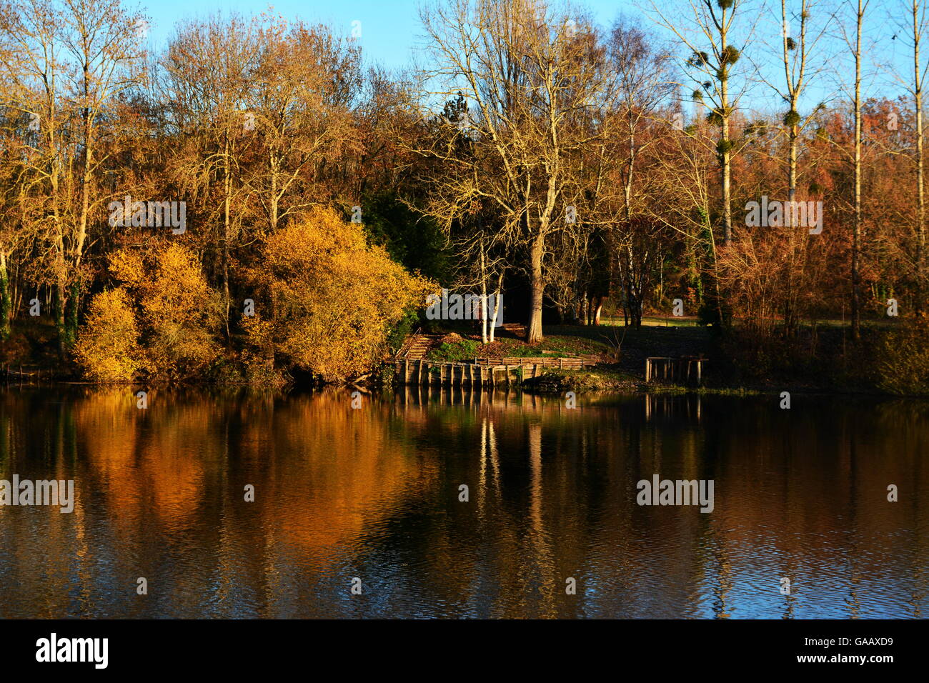 Paesaggio autunnale con alberi sul lago o fiume Foto Stock
