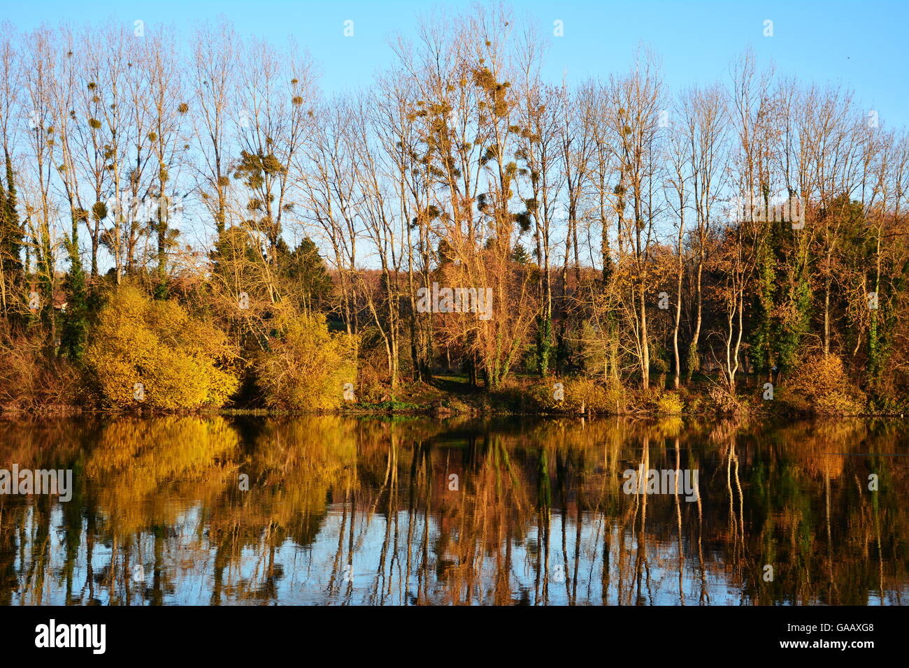 Paesaggio autunnale con alberi sul lago o fiume Foto Stock