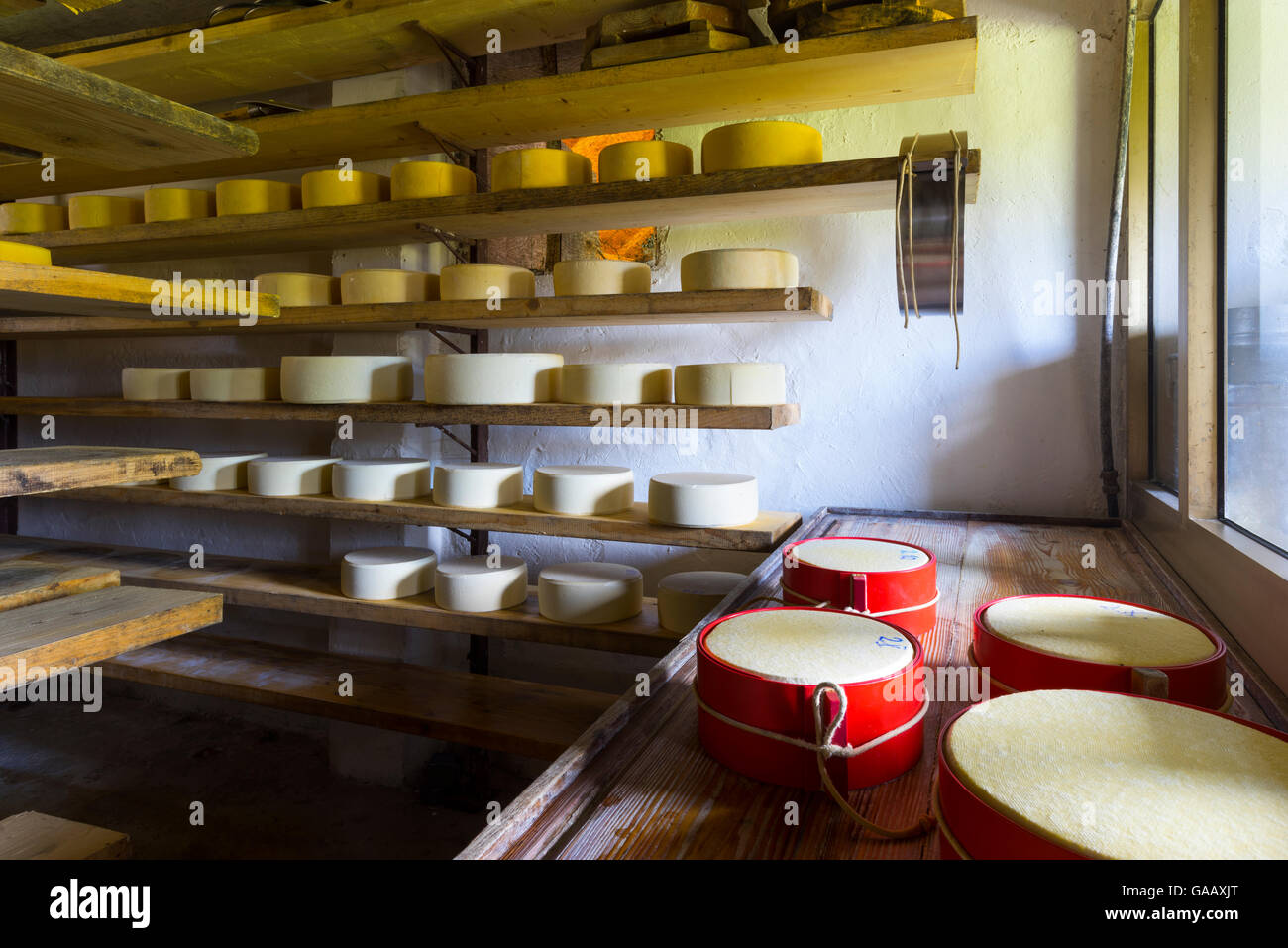 La stagionatura dei formaggi sui ripiani in tradizionale caseificio, il Parco Nazionale del Triglav, Slovenia, ottobre 2014. Foto Stock