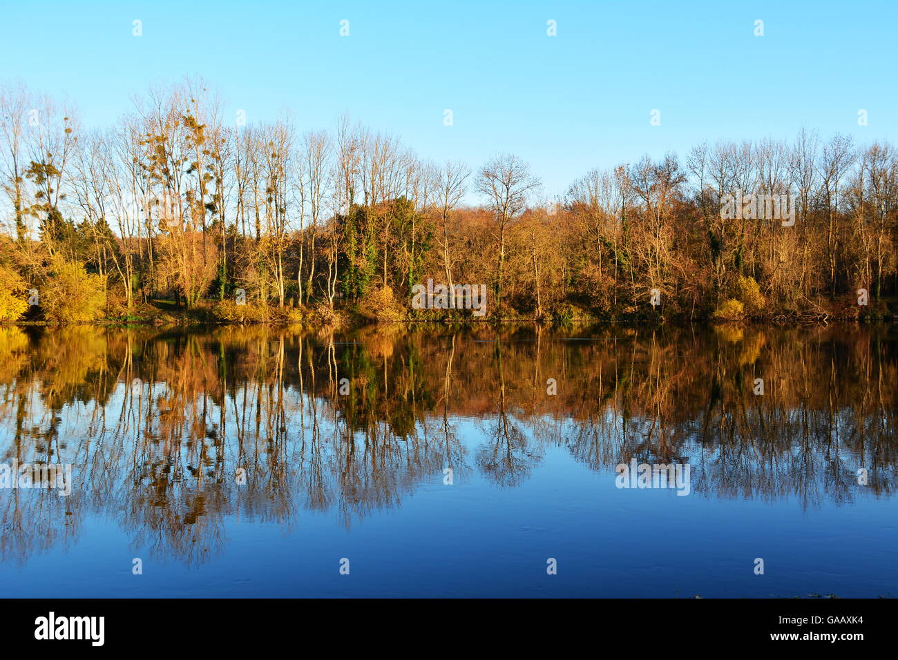 Paesaggio autunnale con alberi sul lago o fiume Foto Stock