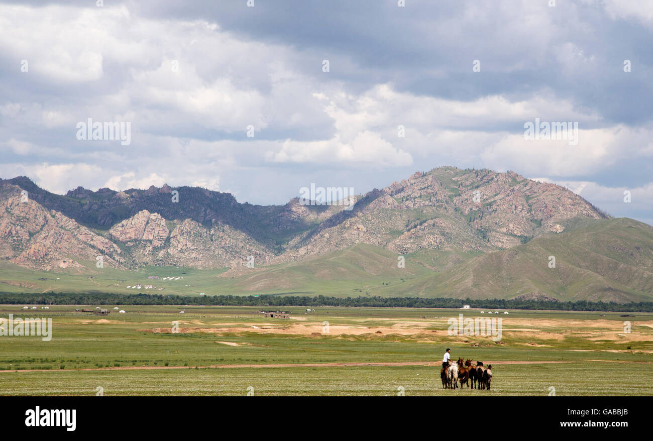 Le steppe della Mongolia. Interno dell'Asia. Splendida vista cielo e montagna. (Wild Horse e pilota) Foto Stock