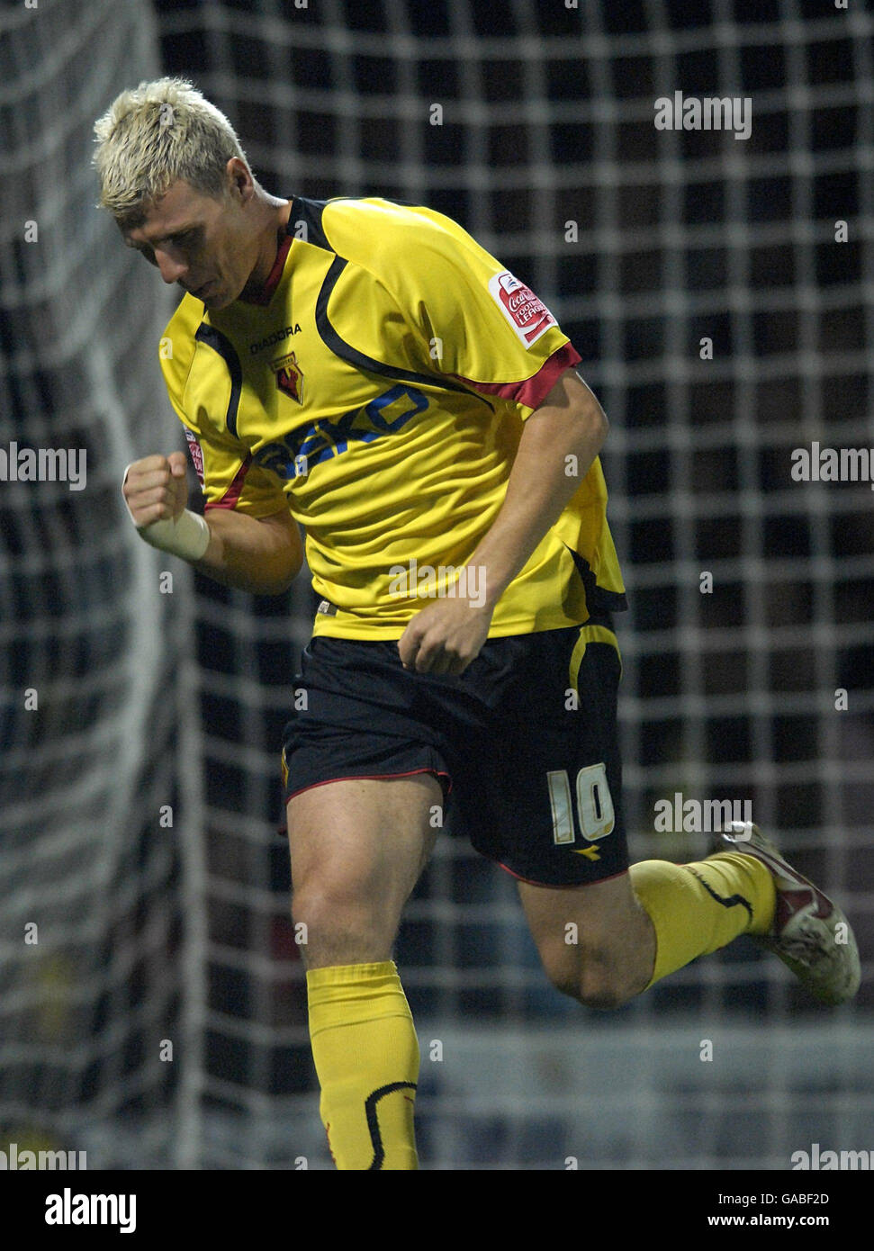 Calcio - Coca-Cola Football League Championship - Watford v Sheffield Mercoledì - Vicarage Road Stadium. Darius Henderson di Watford celebra il suo primo traguardo durante la partita del campionato Coca-Cola a Vicarage Road, Watford. Foto Stock