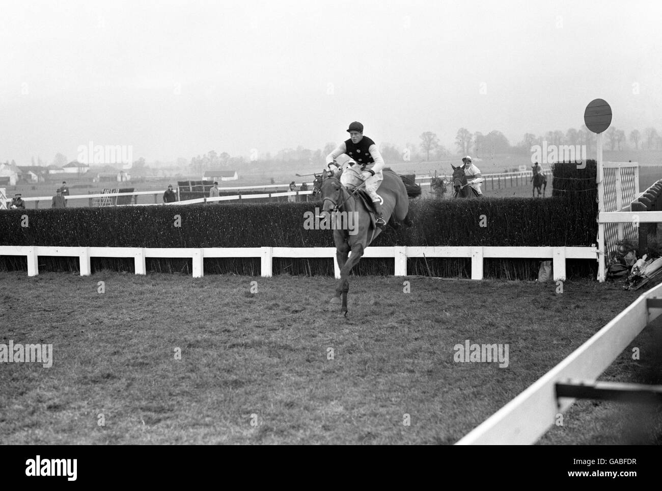 Horse Racing - National Hunt 2 miglia di siepi - Cheltenham Foto Stock