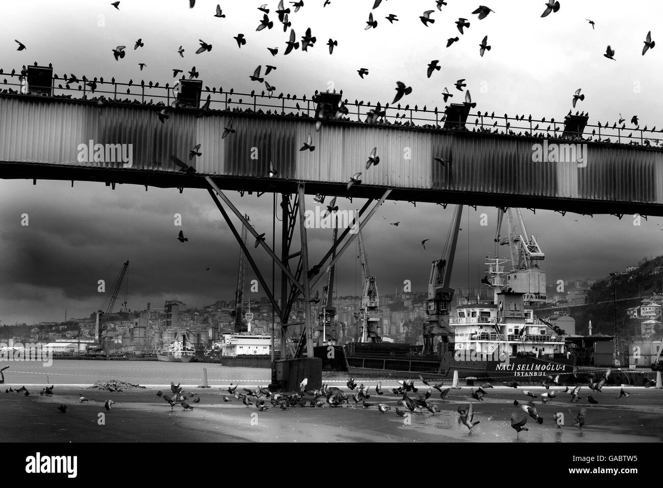 Rabzon, l importanza del suo porto divenne un punto focale del commercio in Iran e del Caucaso Foto Stock