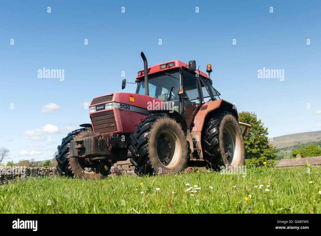 Concime Speading su un tradizionale Dales prato con un caso trattore internazionale. Hawes, North Yorkshire, Regno Unito. Foto Stock