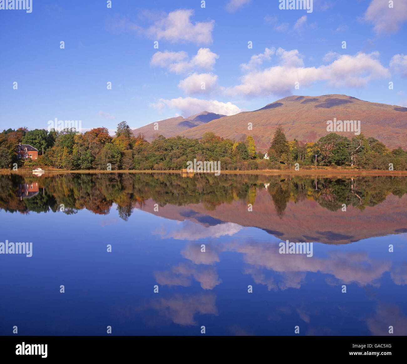 Autunno riflessioni di Ben Cruachan, Loch Awe, Argyll Foto Stock