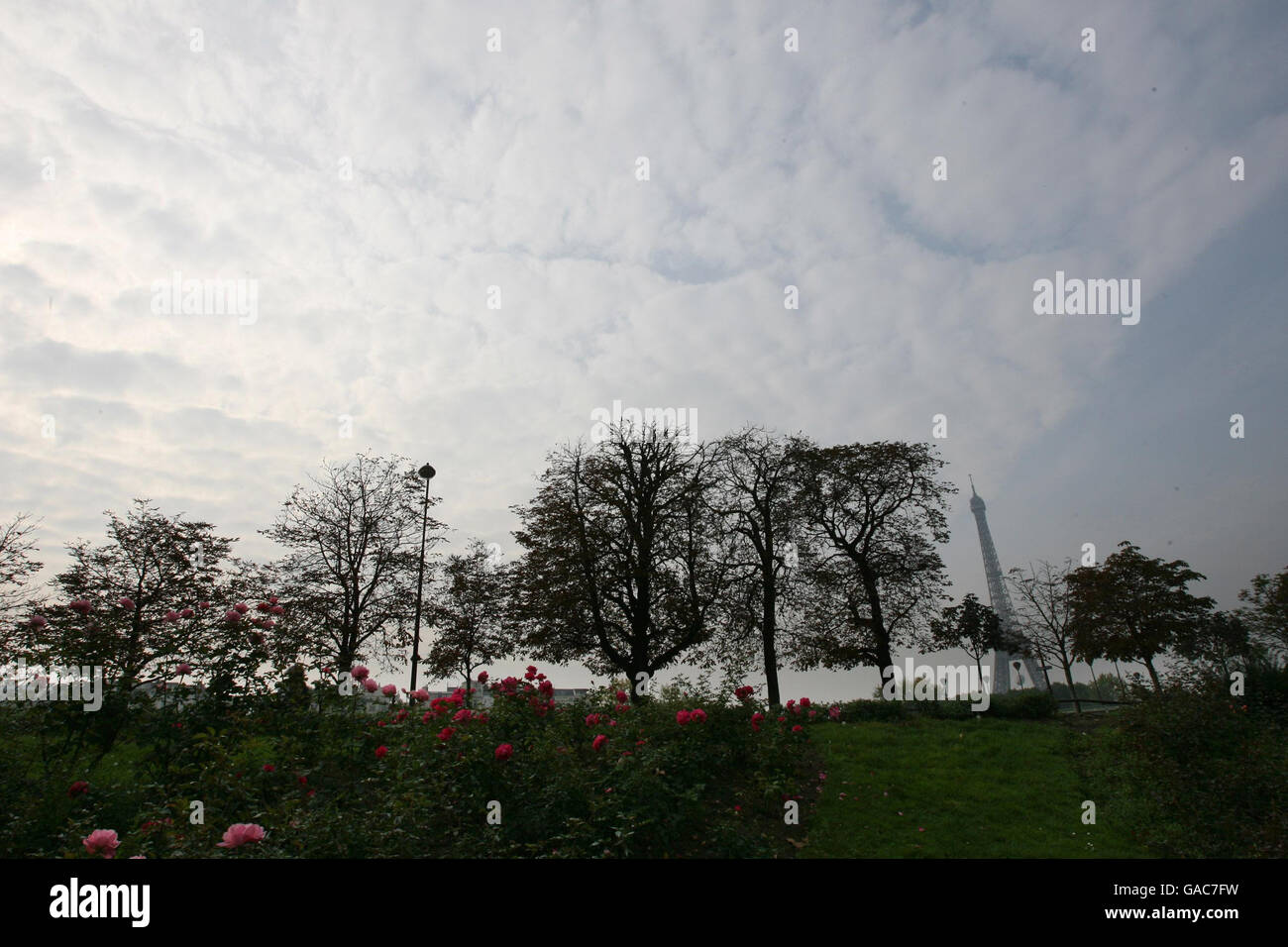 Diana inchiesta Foto Stock