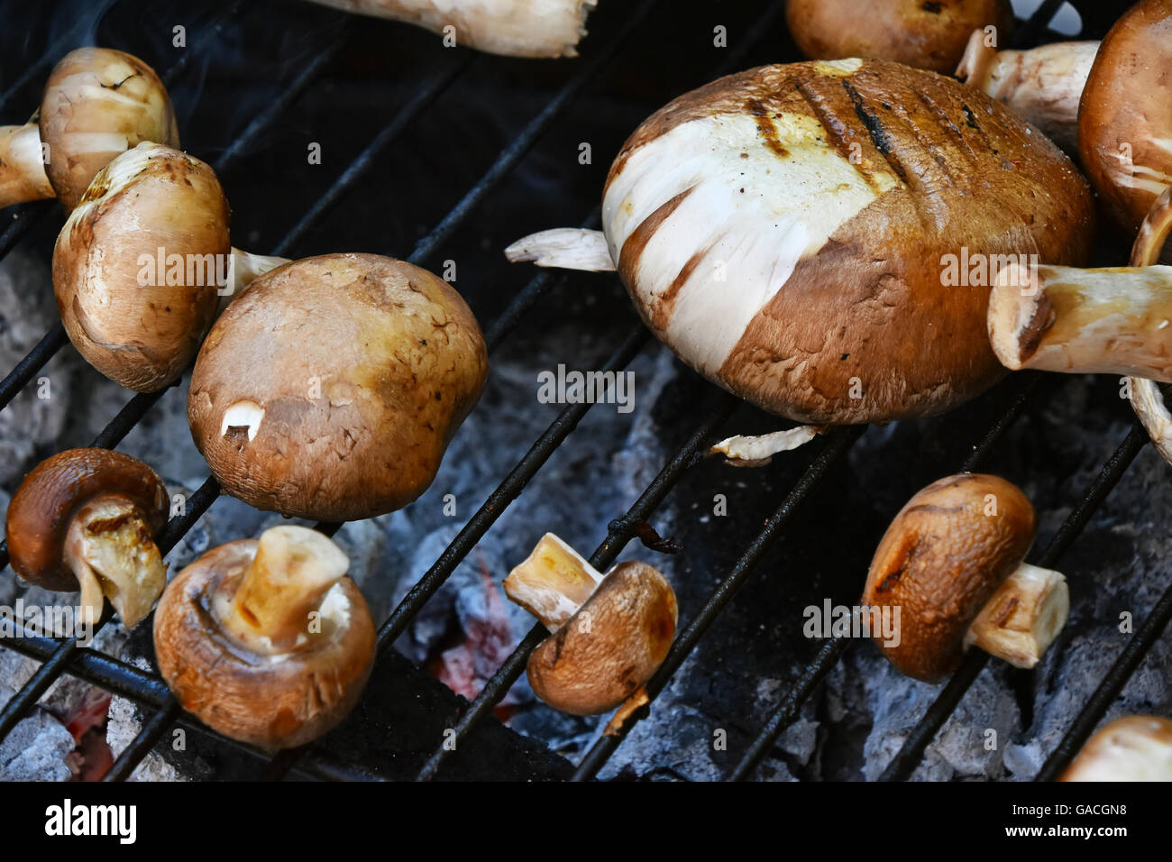 Rosolare gli champignon funghi champignon essendo cotti su char grill Foto Stock