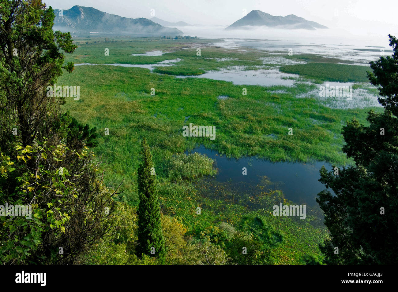 Estate vista del lago di Skadar vicino al villaggio di Virpazar, Montenegro. Lo straordinario paesaggio e natura Foto Stock