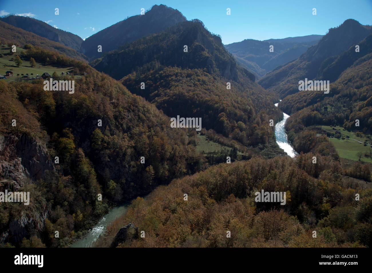 Fiume Tara e Tara canyon, Montenegro Foto Stock