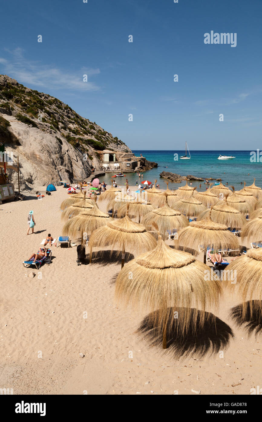 Ombrelloni sulla Cala Sant Vincenc beach, costa nord, Mallorca ( ) di Maiorca, isole Baleari, Spagna, Europa Foto Stock