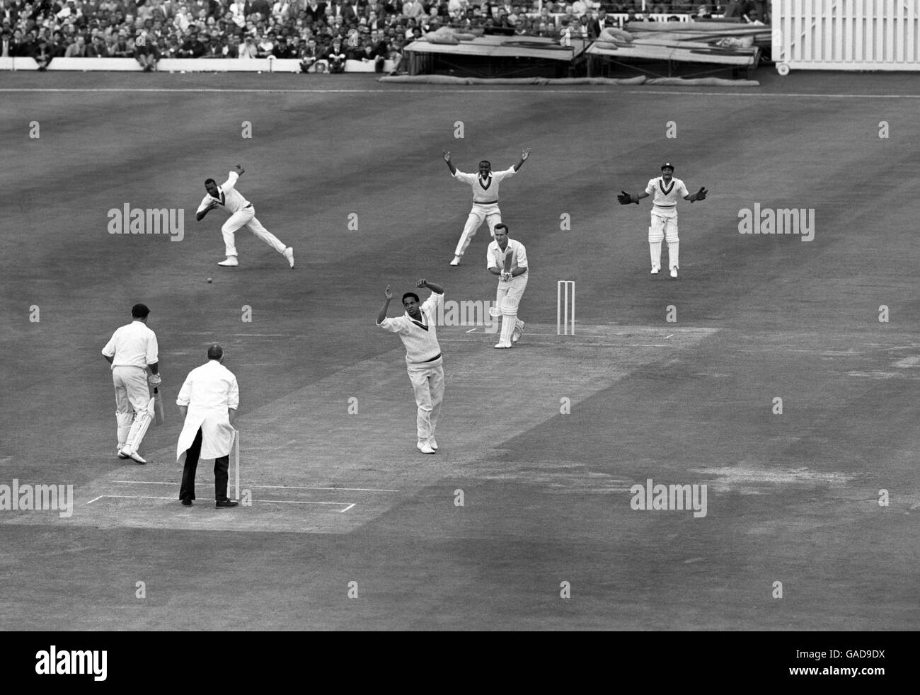Sport - Cricket - Inghilterra V Indie Occidentali - 1963. Ted Dexter dell'Inghilterra è dato fuori da LBW Foto Stock