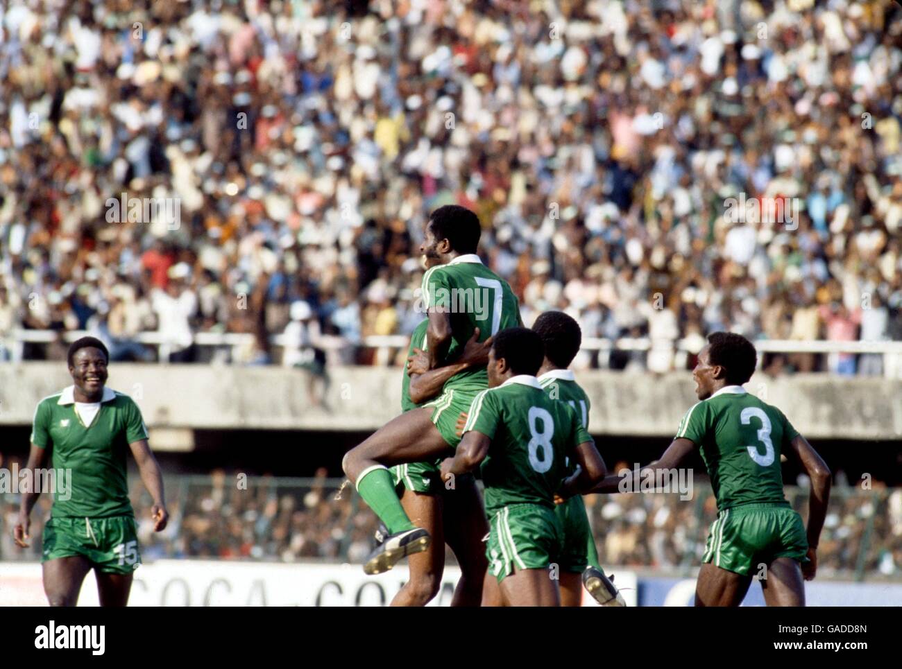 Calcio - African Nations Cup - finale - Nigeria v Algeria Foto Stock