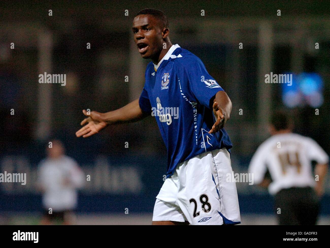 Calcio - Carling Cup - quarto round - il centro di Luton v Everton - Kenilworth Road Foto Stock