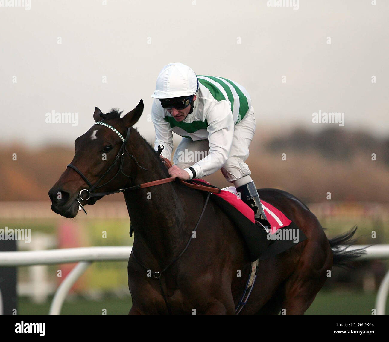 Alma Mater guidato da Seb Sanders vince la Lothian Independent Dental Practitioners Maiden Stakes all'ippodromo di Musselburgh. Foto Stock