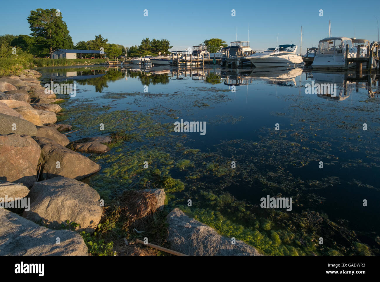 Barche ormeggiate nel lago bianco pubblico marina, Whitehall, Michigan, Stati Uniti d'America Foto Stock