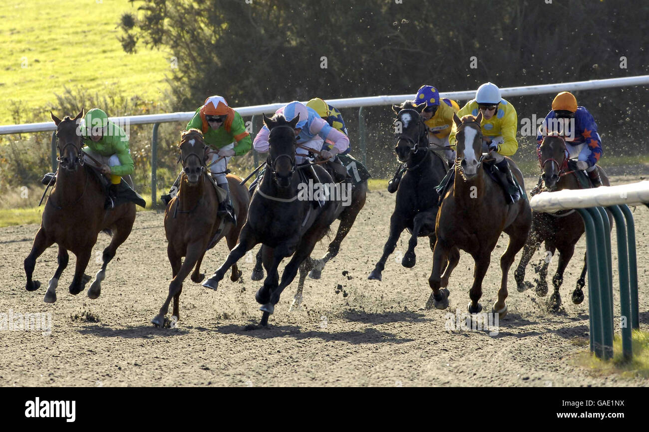 Corridori e piloti nella scuderia di Godolphin Premi - nominate ora Median Auction Maiden Stakes (Classe 6) round l'ultima curva a Lingfield. Foto Stock