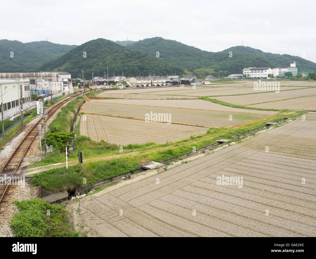 Raccolte le risaie, una linea ferroviaria e un high school in background. Foto Stock