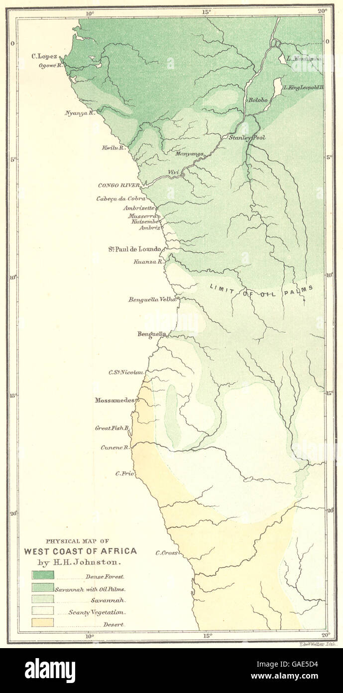 AFRICA: Costa occidentale:Angola Namibia Congo Gabon. Fisica. Vegetazione RGS mappa 1883 Foto Stock