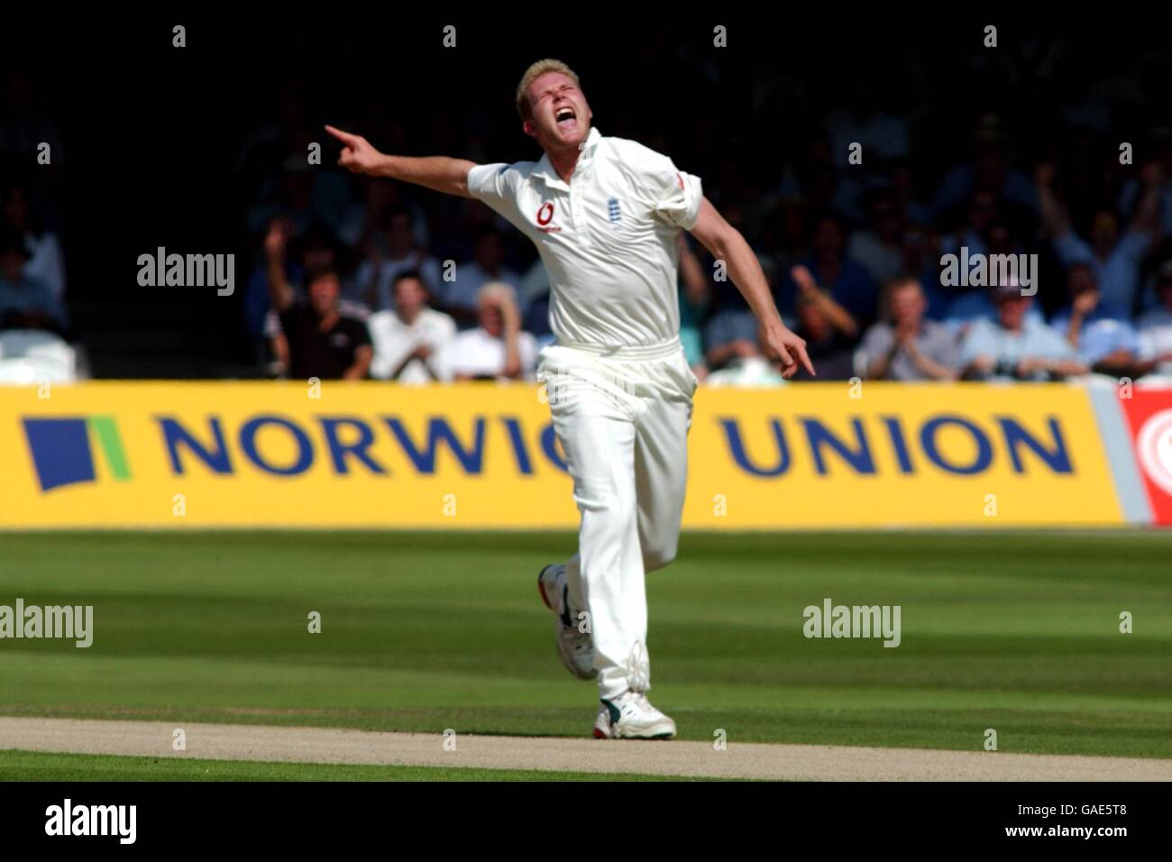 Matthew Hoggard in Inghilterra celebra il bowling Wasim Jaffer in India Foto Stock