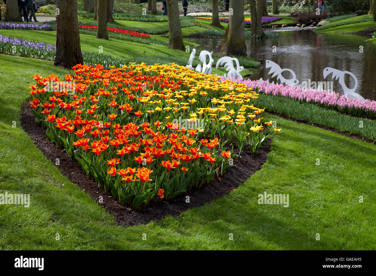 I tulipani, Keukenhof flower garden Lisse, Paesi Bassi, Europa Foto Stock