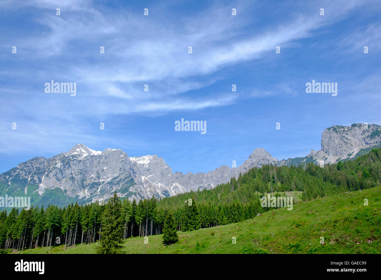 Montagna, gamma, Ridge, Großer Buchstein, Nationalpark Gesäuse, Stiria, Austria Foto Stock