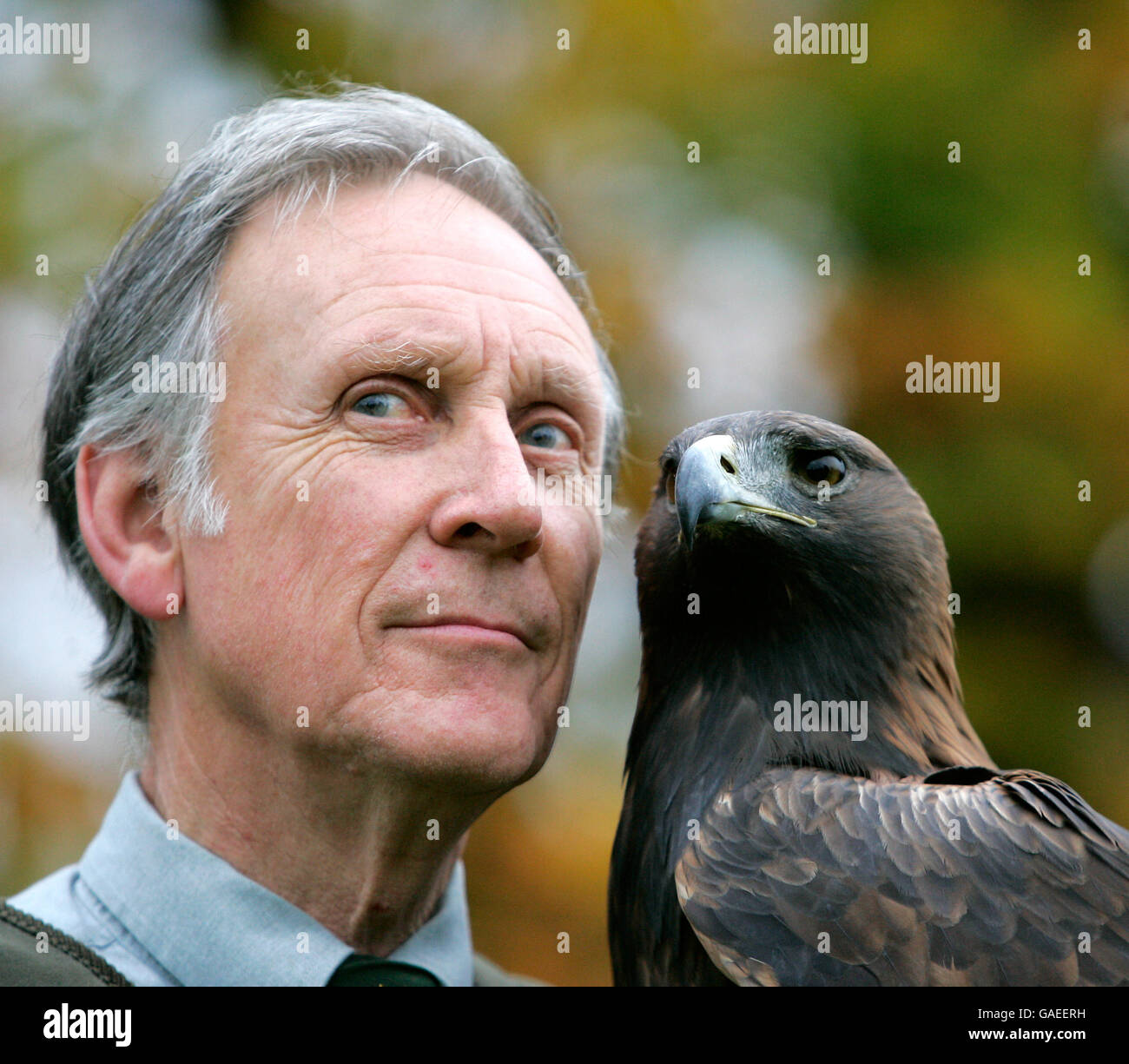 Falconer Geoff Clayton con l'aquila d'oro Shirko di otto anni, mentre partecipano alla Conferenza intergovernativa sugli uccelli migratori della preda al Cameron House Hotel a Loch Lomond. Foto Stock Falconer Geoff Clayton con l'aquila d'oro Shirko di otto anni, mentre partecipano alla Conferenza intergovernativa sugli uccelli migratori della preda al Cameron House Hotel a Loch Lomond. Foto Stock