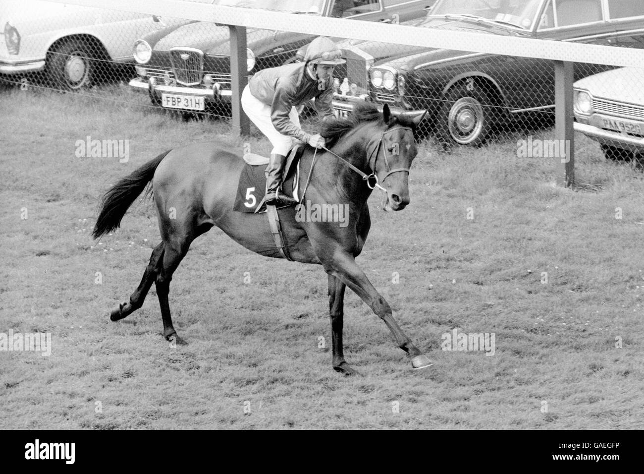 Corse di cavalli - Goodwood. Brigadier Gerard, Joe Mercer up Foto Stock