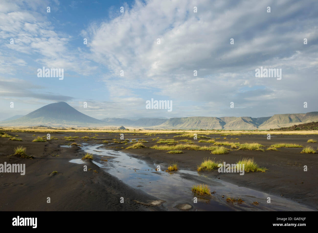 Il vulcano attivo Ol Doinyo Lengai presso il Lago Natron, Tanzania Foto Stock