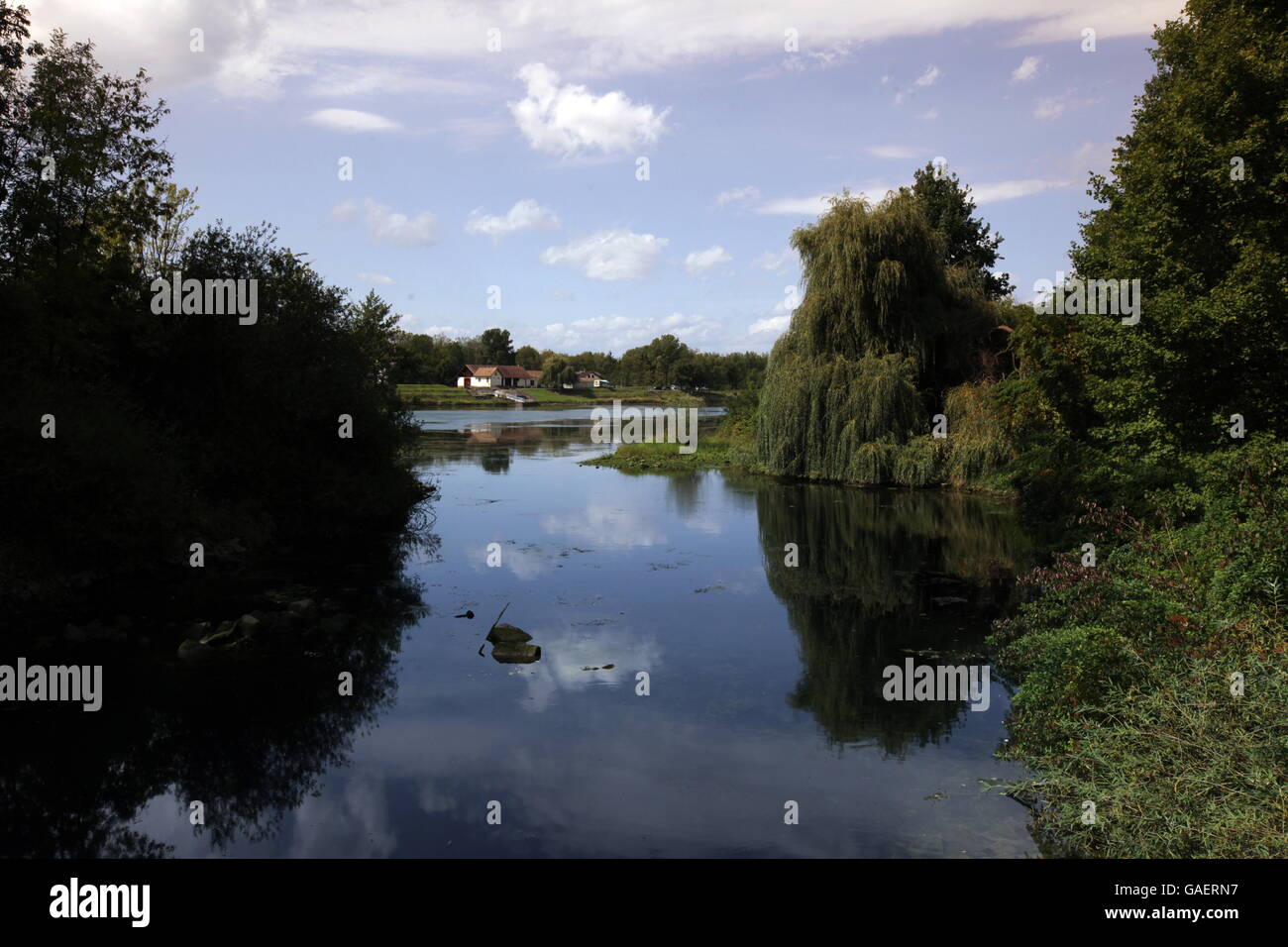 Die Landschaft des Rhein Ufer bei Sasbach im Kaiserstuhl am im Schwarzwald Sueden von Deutschland. Foto Stock