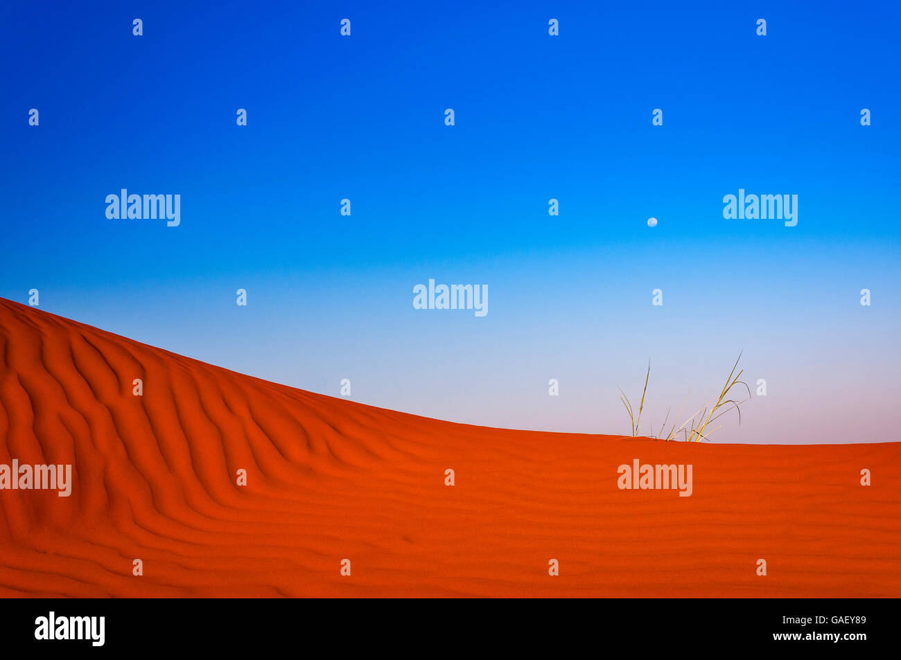 Dettaglio di una duna rossa in Namibia, Africa Foto Stock