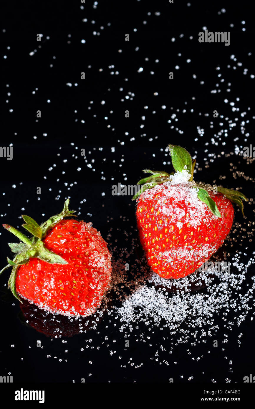 Fresche e mature di fragole organico spolverati con zucchero su sfondo nero Foto Stock