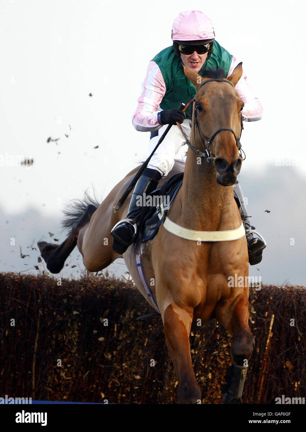 Corse di cavalli - Ascot Racecourse. Hobbs Hill guidato da Tony McCoy sulla strada per vincere la BGC Noel Novices Chase all'ippodromo di Ascot. Foto Stock