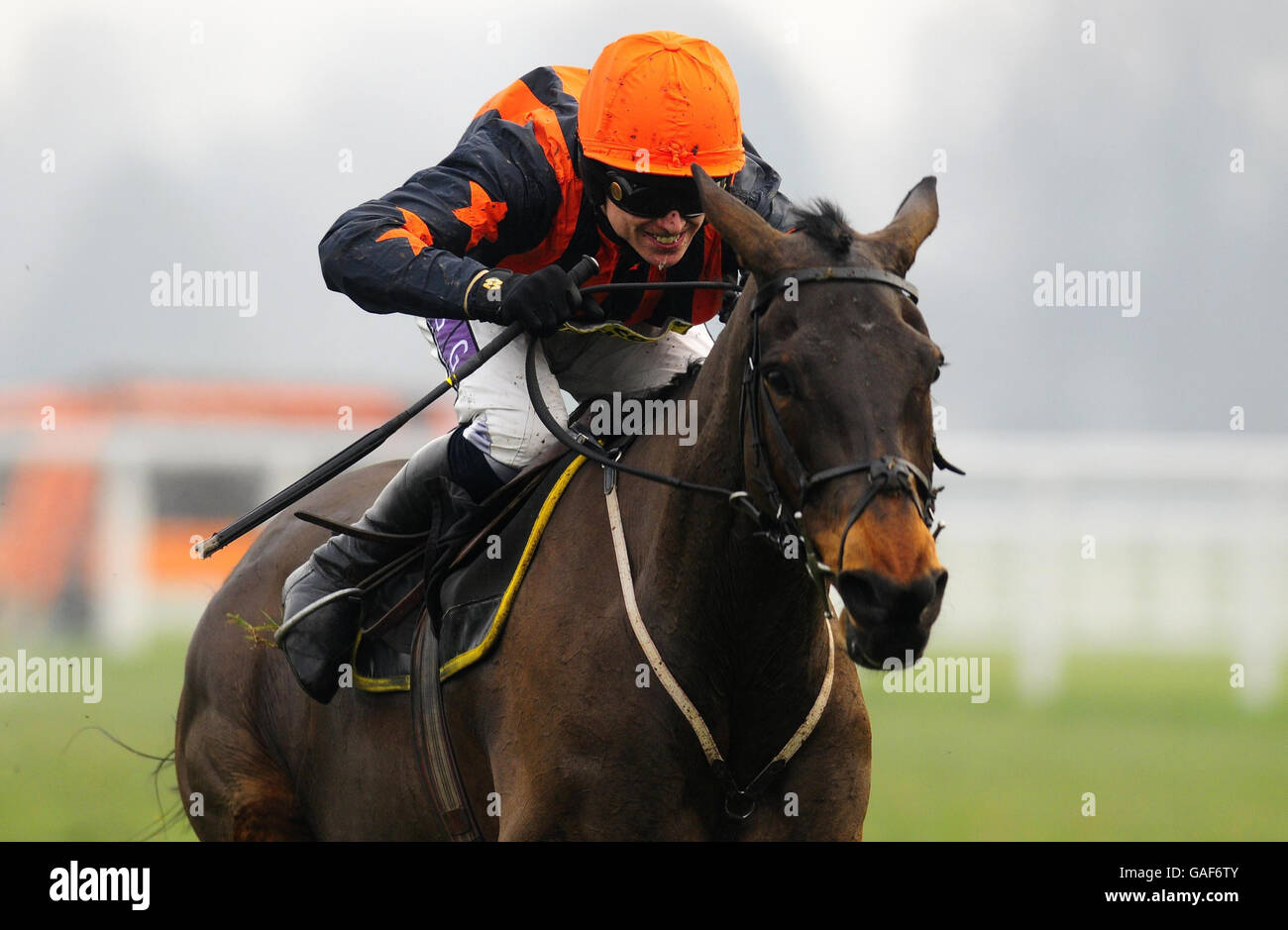 Ascot da corsa immagini e fotografie stock ad alta risoluzione - Alamy